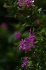 IMG_20161117_004837
