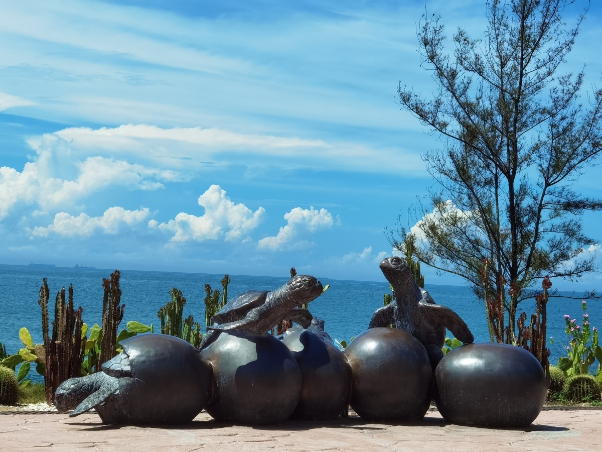 海龟自然保护区