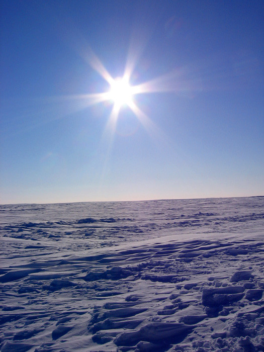 311-17 br /> 北冰洋上空中午的太阳