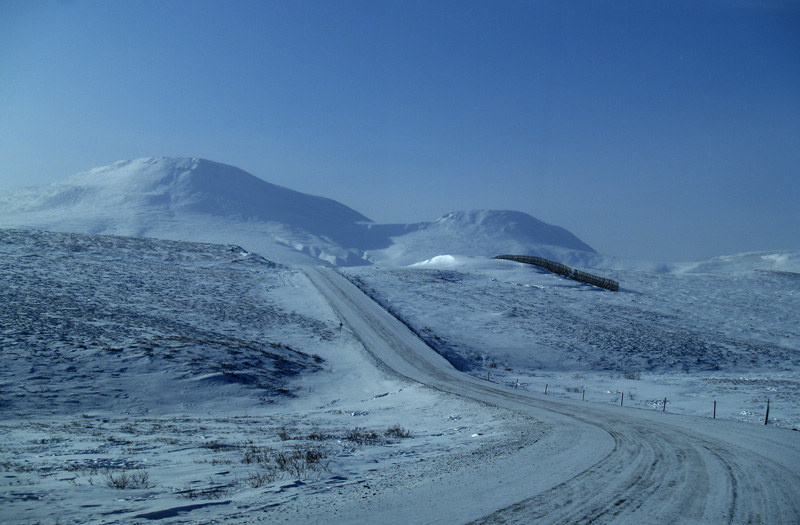 313-10 br /> 雪原荒漠