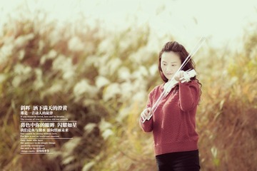 小杜38A