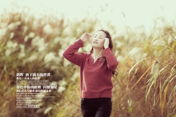 小杜58A