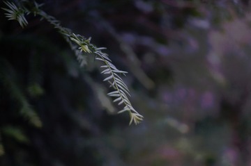 1717513