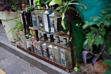 IMGP8258_调整大小