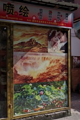 IMGP8265_调整大小