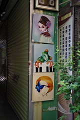 IMGP8311_调整大小