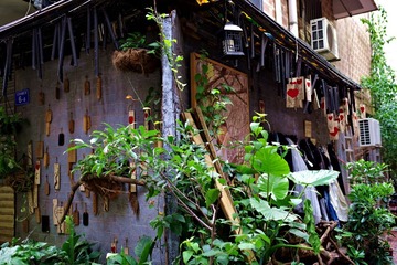 IMGP8350_调整大小