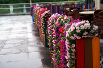 IMGP8523_调整大小