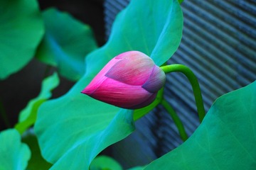 P8060356