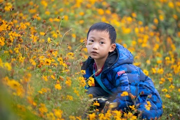 _PXJ5773