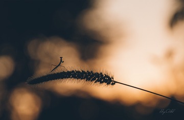 1203722