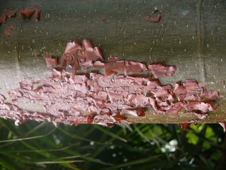 P1230471