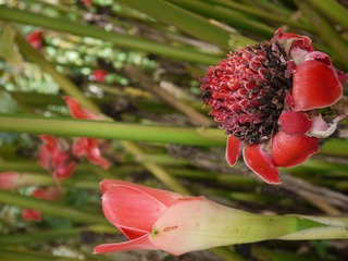 P1230447