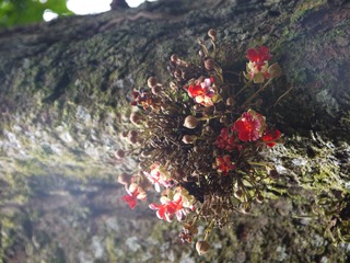 P1230415