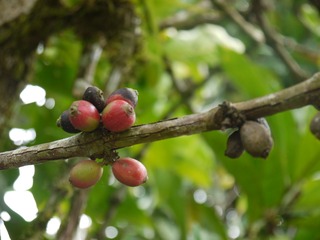 P1230651