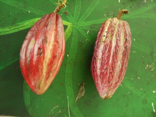 P1230341