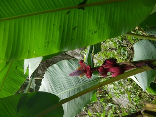 P1230989