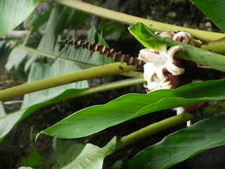 P1230988