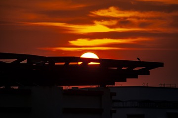 DSC_6413_1