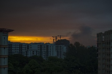 DSC_5535_1
