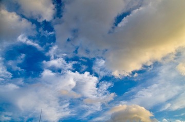 _DSC0079