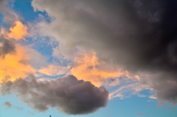 _DSC0091