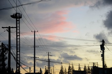 _DSC0102