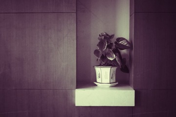 IMG_20130318_075120_2