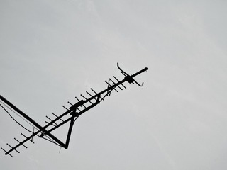 782638