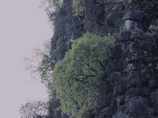 782582