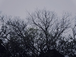 782618