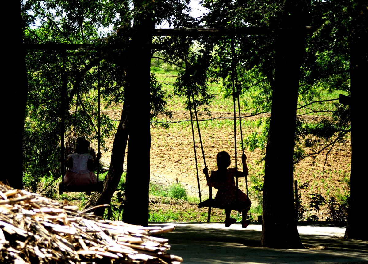 一个悠闲一个忙一一偶遇第一组镜头:高官镇河东村村头,大柳树下,两个