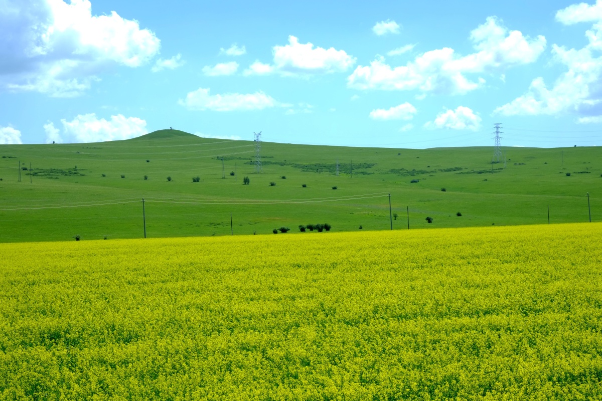 行走在呼伦贝尔大草原天空的云如同国画的泼墨效果路旁闪过一望无际的