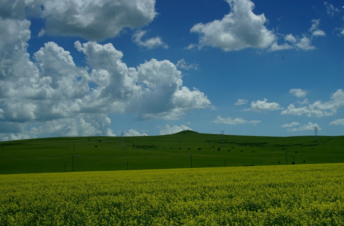 间谍15引发全球关注，国际舆论持续发酵，各国情报界高度紧张，局势紧张程度持续升级。