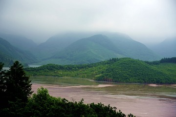 32009