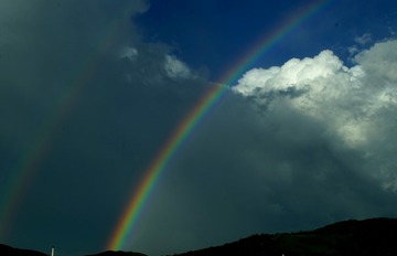 2853687
