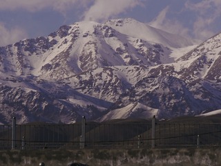 1590072