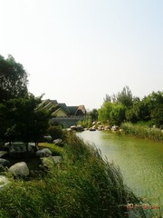 IMG_20140828_160458