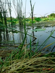 IMG_20140828_160927