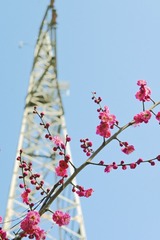 8D35FA4B-DFFB-4507-BF90-D7B7B8A7139F/L0/001