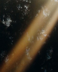 B936EB9F-8CCA-4034-8F66-98275B24B1E8/L0/001