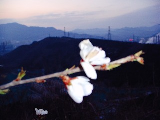 7F5959A6-F38A-4233-884B-40CD30114A96/L0/001