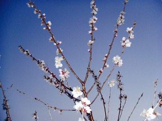 D3742D76-E35C-4B9A-8303-FD8D85B00FEA/L0/001