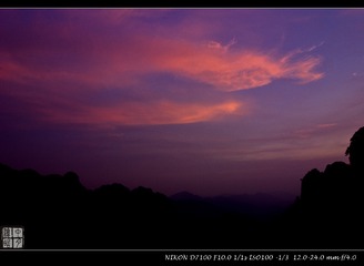 _DSC2979