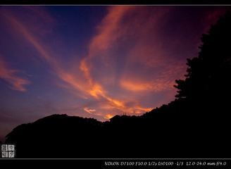 _DSC2980