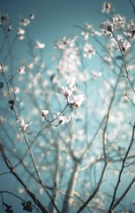 9C039B09-1BCD-4FC3-B856-4CDE6C0C33D8/L0/001