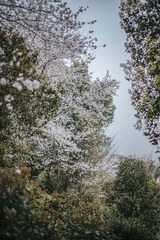 C44D0D16-B647-44E2-B138-B7F07E96AF55/L0/001