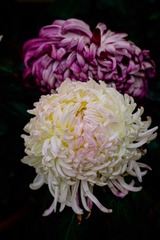 46067CD5-FA15-4CF0-BCF3-D589AC6403B9/L0/001