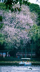 DA022814-55E5-41AB-94EA-E70A962ED53F/L0/001