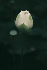 63613